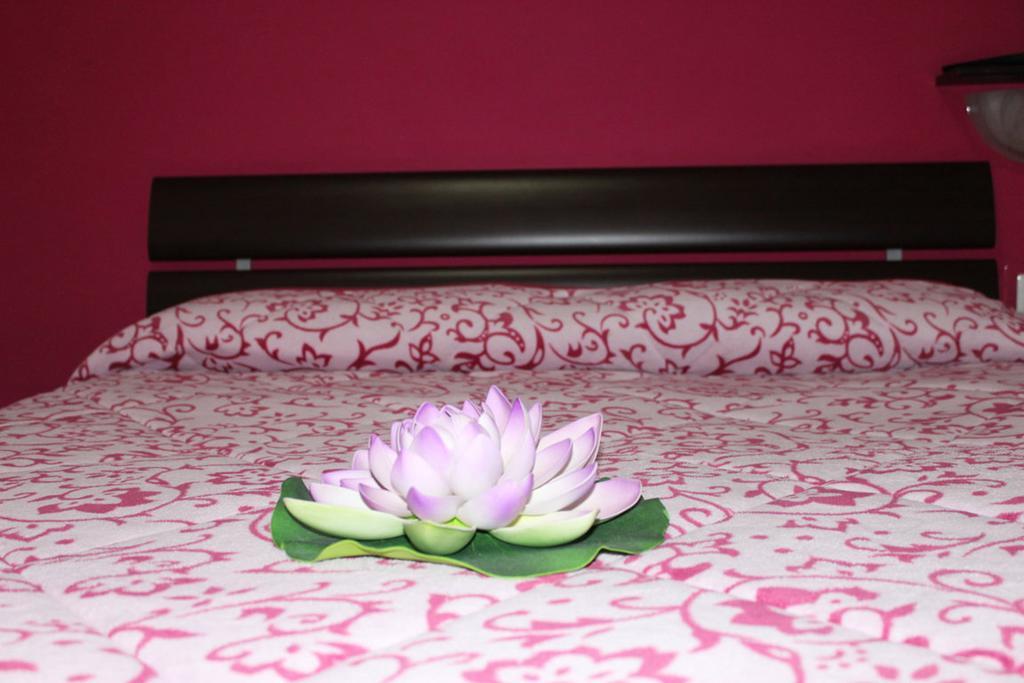 Bed and Breakfast Aracoeli Рим Экстерьер фото